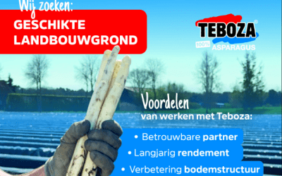Landbouwgrond gezocht voor aspergeteelt